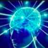 brain4