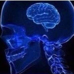 brain0
